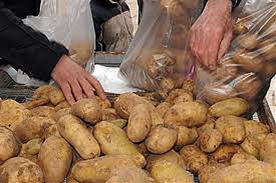 dianomipatatas